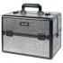 Case № 42 (Dark Silver Opal)