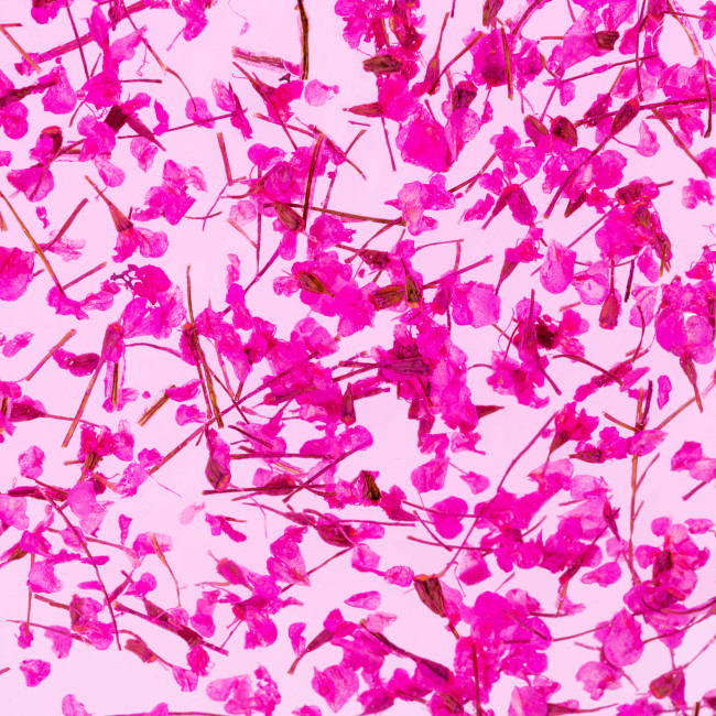 Gel mit Trockenblüten Flower Gel №07, 4 ml