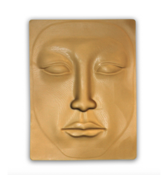 Dummy Face for Permanent Make-up Masters