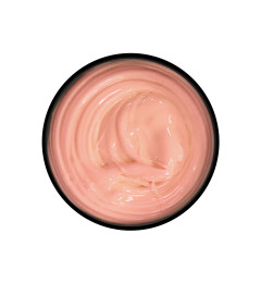 Professional Acrylic-Gel System Easy duo gel Soft Pastel 02, 20 g