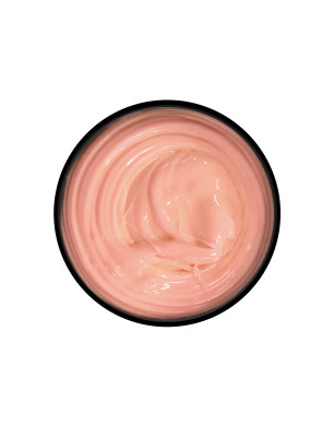 Professional Acrylic-Gel System Easy duo gel Soft Pastel 02, 14 g