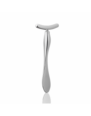 Masseur pour visage (couleur : argenté)