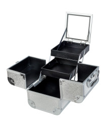 Cosmetic Case № 33 (Silver Opal)