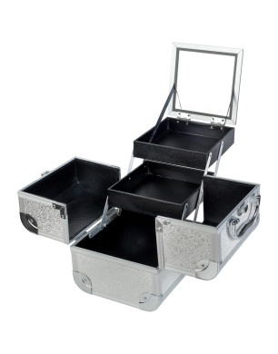 Cosmetic Case № 33 (Silver Opal)