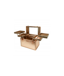 Cosmetic Case № 40 (Shining)
