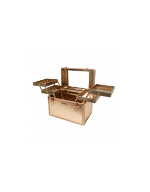 Cosmetic Case № 40 (Shining)