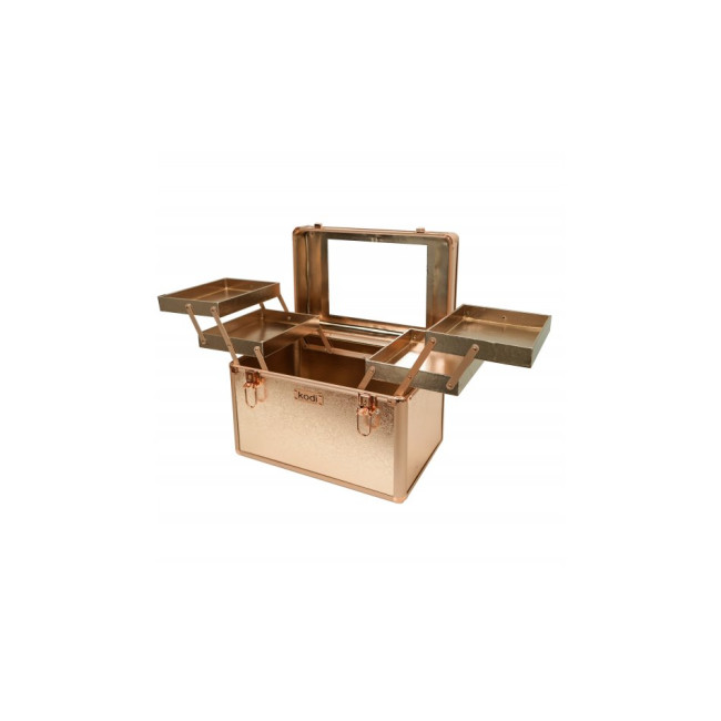 Cosmetic Case № 40 (Shining)