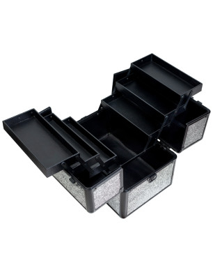 Case № 42 (Dark Silver Opal)