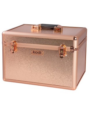 Cosmetic Case № 40 (Shining)
