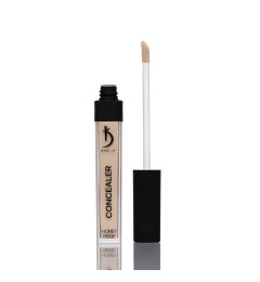 Concealer, Color: Honey Beige), 6 ml