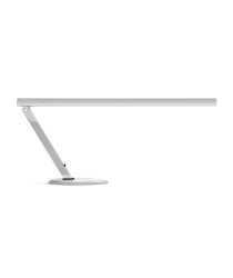 Professional Desk Lamp (10W)