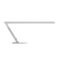 Professional Desk Lamp (10W)