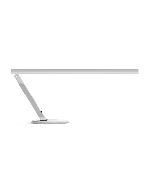 Professional Desk Lamp (10W)