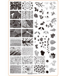 Stamping Plate "Plus size" № 08 (9.5x14.5cm)