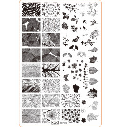 Stamping Plate "Plus size" № 08 (9.5x14.5cm)