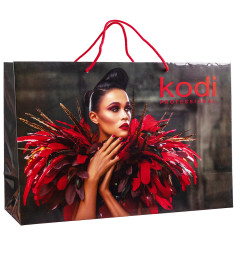 Gift Bag Large (460 * 310 * 150 mm)