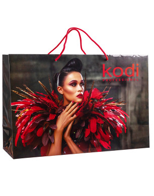 Gift Bag Large (460 * 310 * 150 mm)
