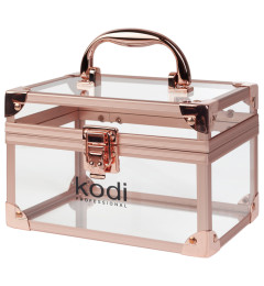 Case № 12 (Clear, Gold Frame)