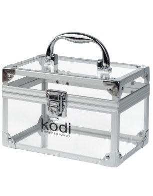 Case № 12 (Clear, Silver Frame)