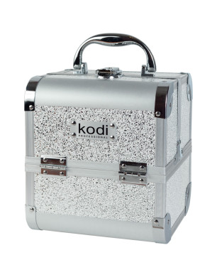 Cosmetic Case № 33 (Silver Opal)