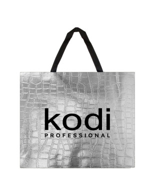 Kodi Professional Bag, size 38x46 cm, color: Silver