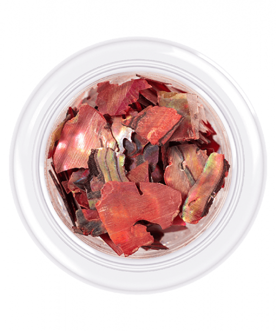 Coquillage pour ongles Shells style, teinte №06, 3 g