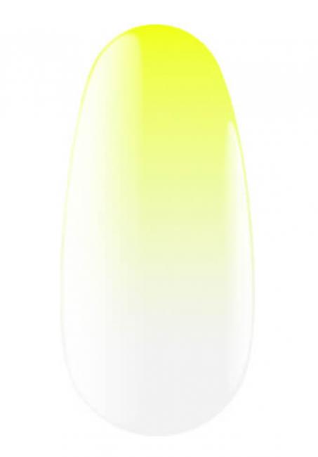 Експрес-спрей для омбре Express Ombrе Spray, 13