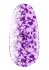 Gel mit Trockenblüten Flower Gel №08, 4 ml
