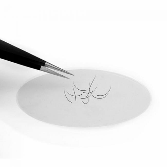 Silicone Tray