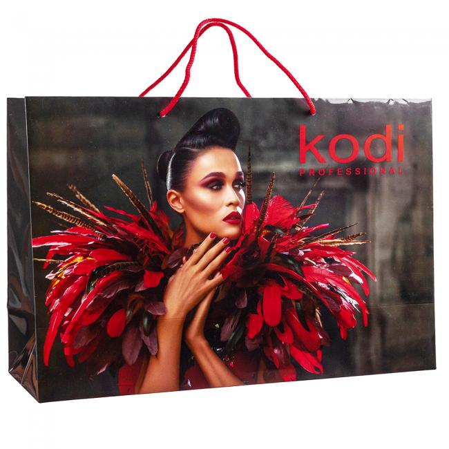 Gift Bag Large (460 * 310 * 150 mm)